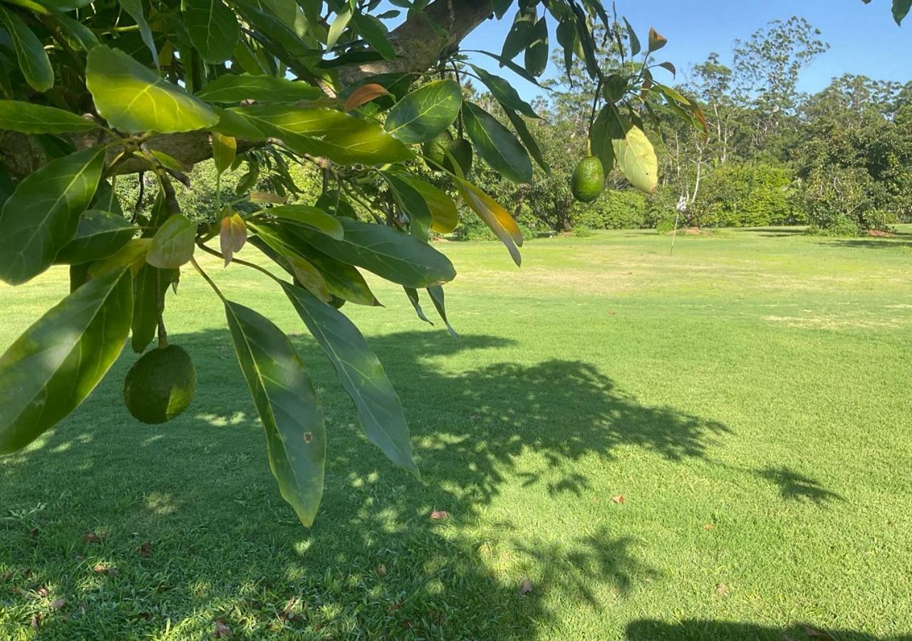 Sunshine Coast Retreat Your Own Private Golf Course Diddillibah Dış mekan fotoğraf