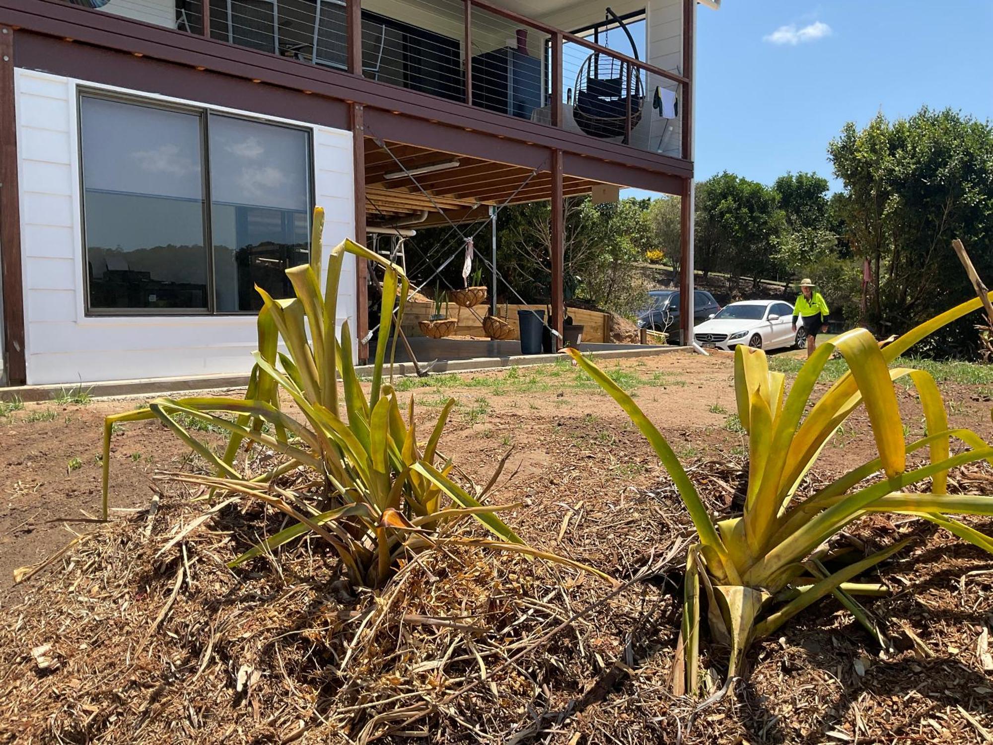 Sunshine Coast Retreat Your Own Private Golf Course Diddillibah Dış mekan fotoğraf